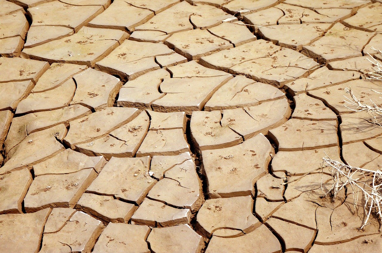 Climate Change: A Catalyst for Mass Migration